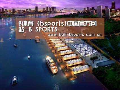 案例展示八